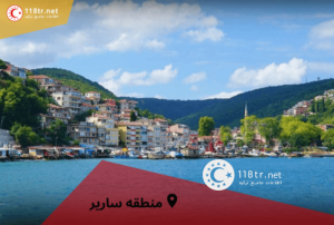 امره آیدین خواننده محبوب ترکیه 21 خرید خانه در ساریر